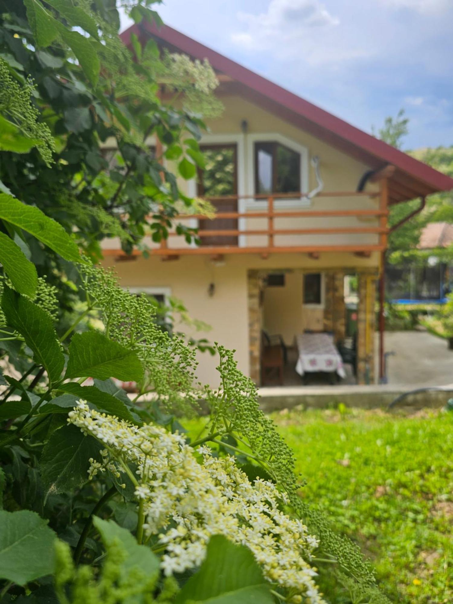 Casa Hera Кэлимэнешти Экстерьер фото
