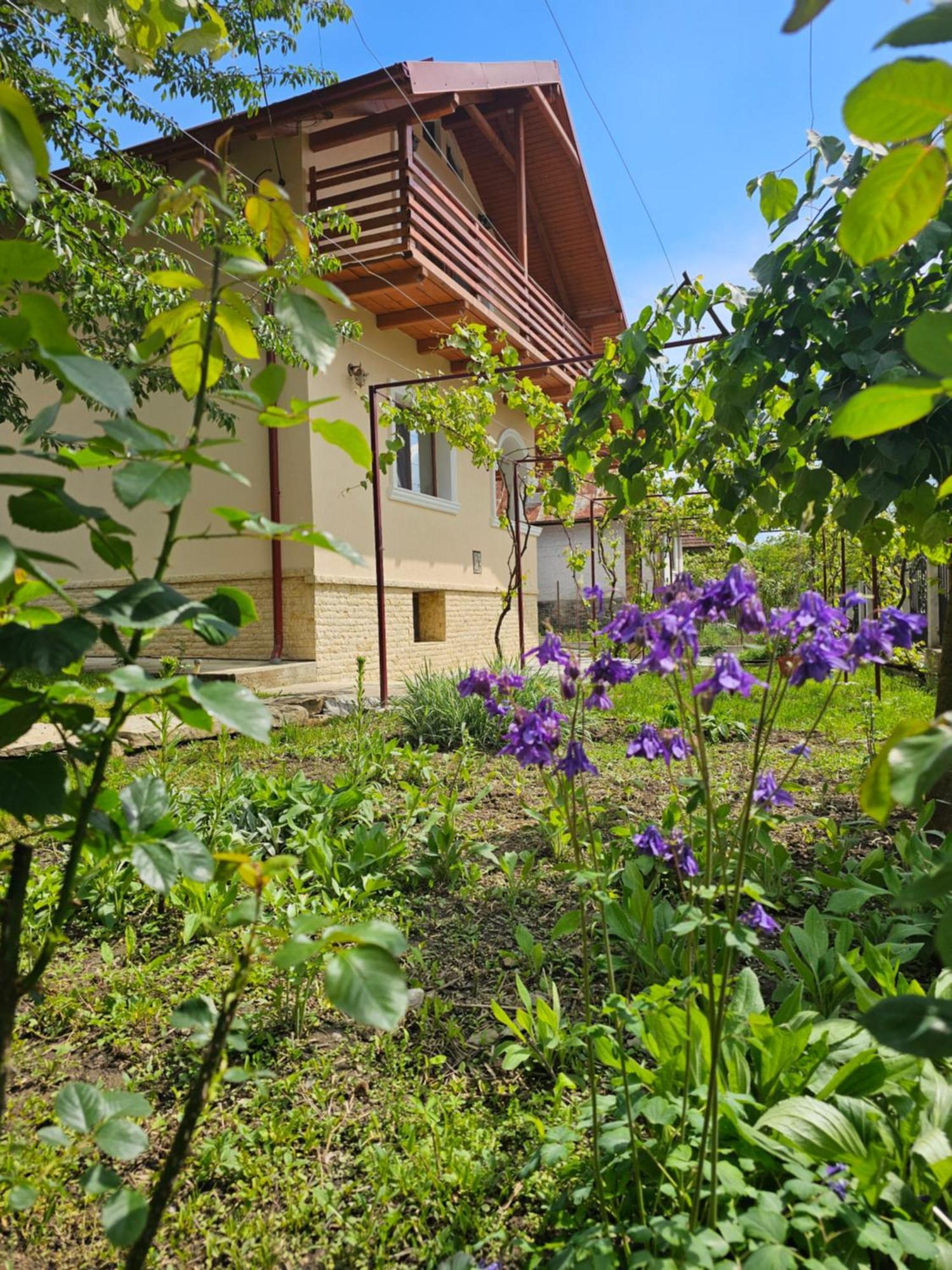 Casa Hera Кэлимэнешти Экстерьер фото